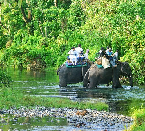 Dooars Tour Package For 4N & 5D